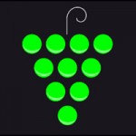 The Wild Bunch | Giggle Beats